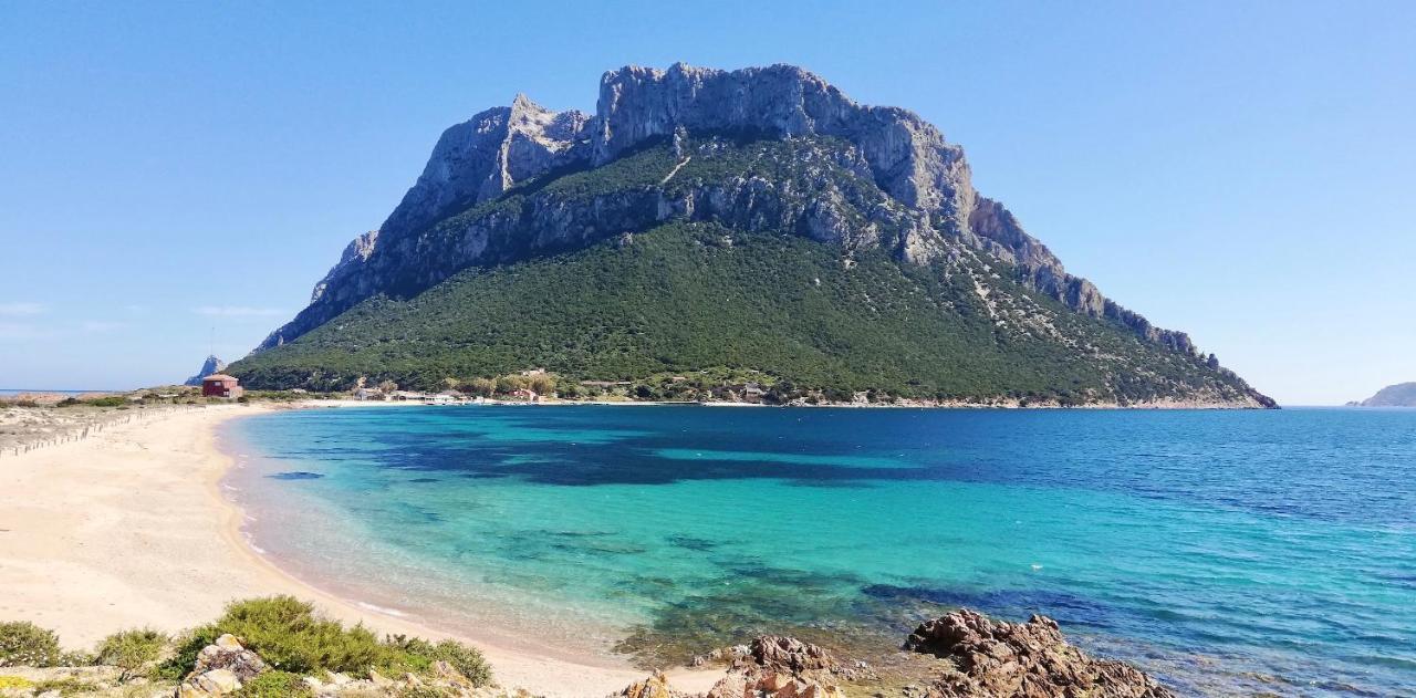 Il Faro San Teodoro Aparthotel Εξωτερικό φωτογραφία